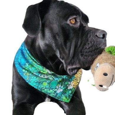 Halstuch - Soft Dot 🤎 38-50 cm