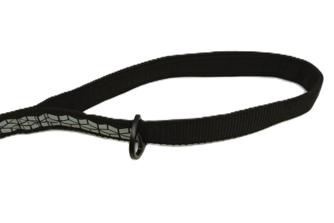 LEINE - Midnight Paw 🌙🐾