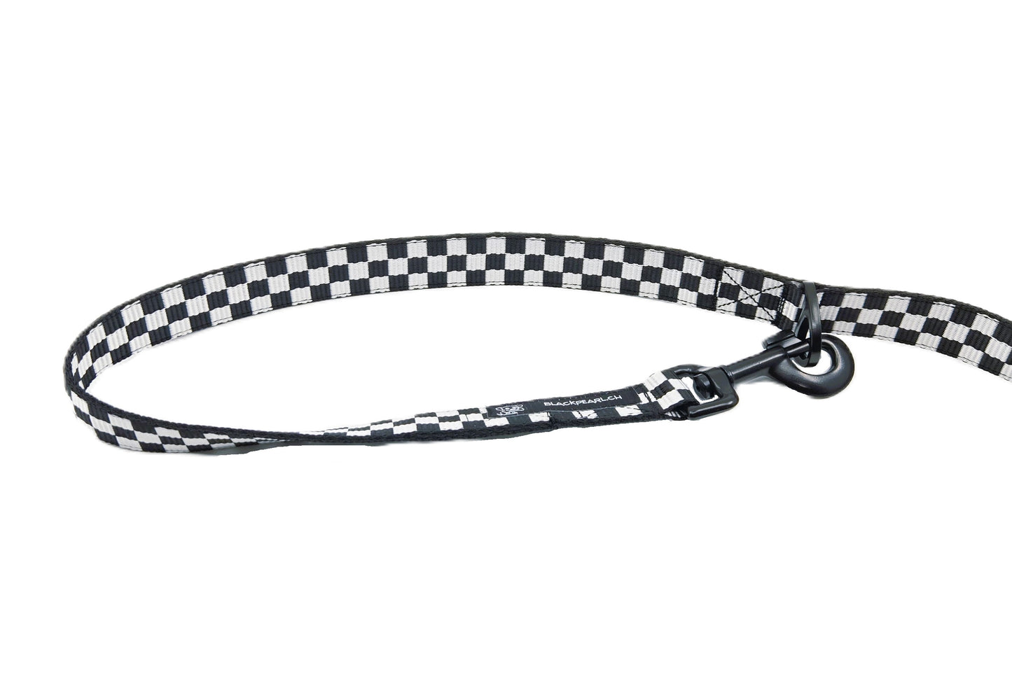 LEINE - RaceLine🐾