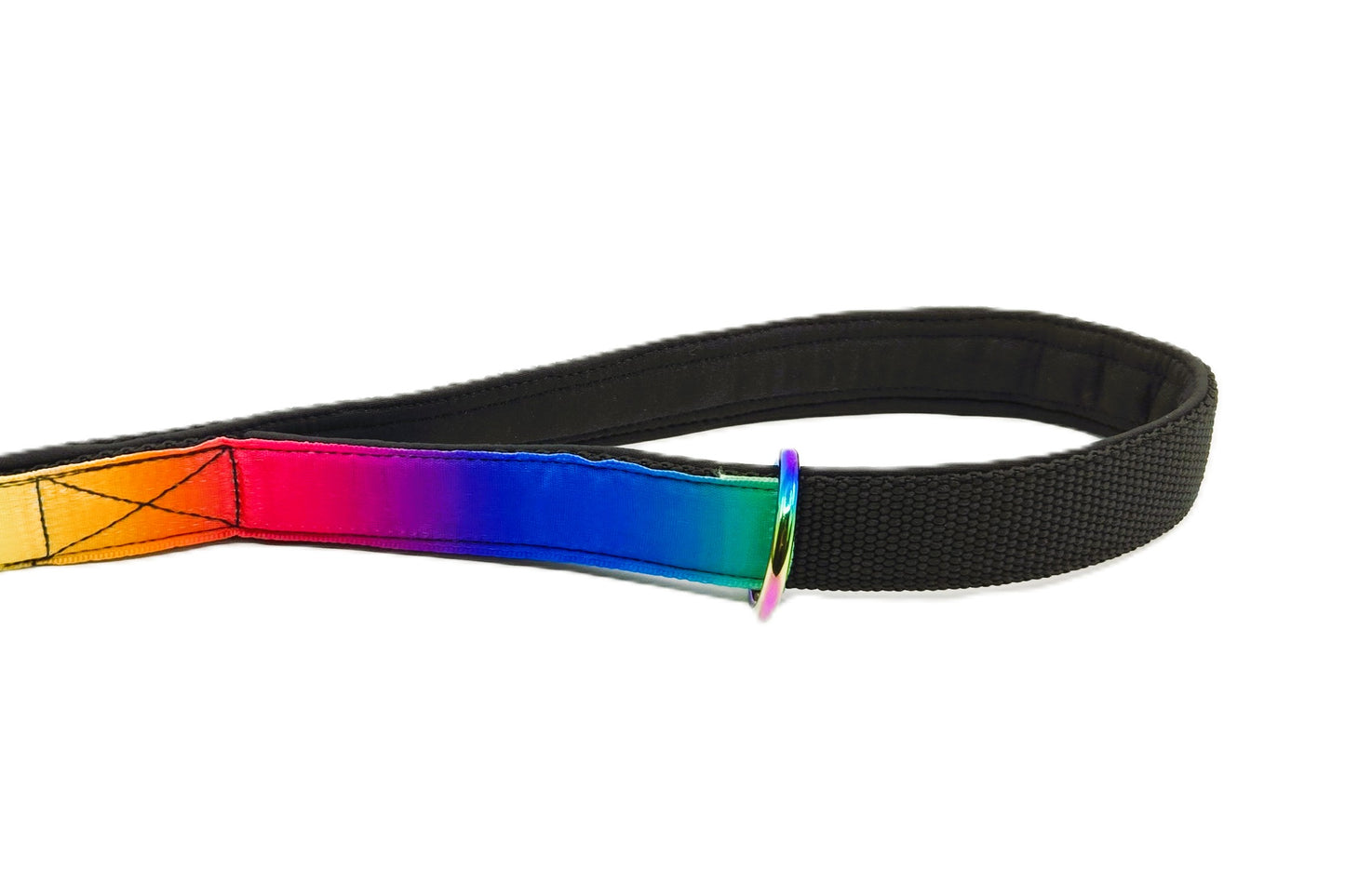 LEINE - Rainbow Vibes 🌈🐾