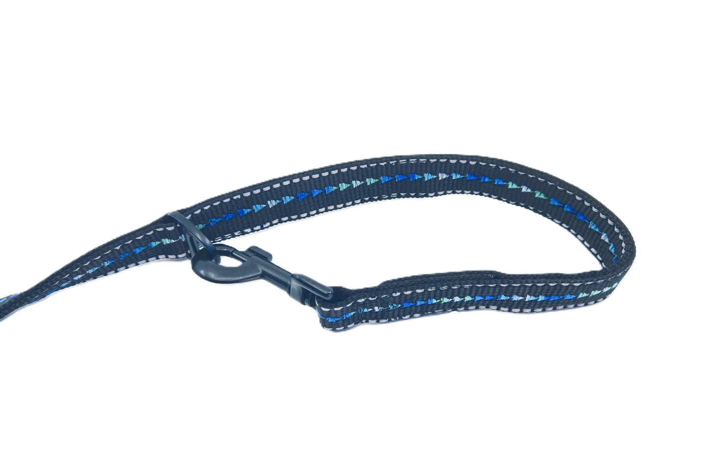 LEINE - Midnight Glow 🌌🐾