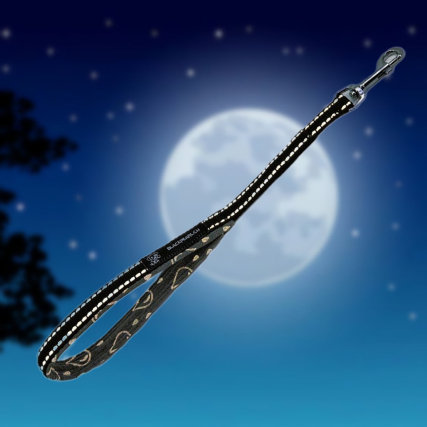 KURZFÜHRER NACH WUNSCH