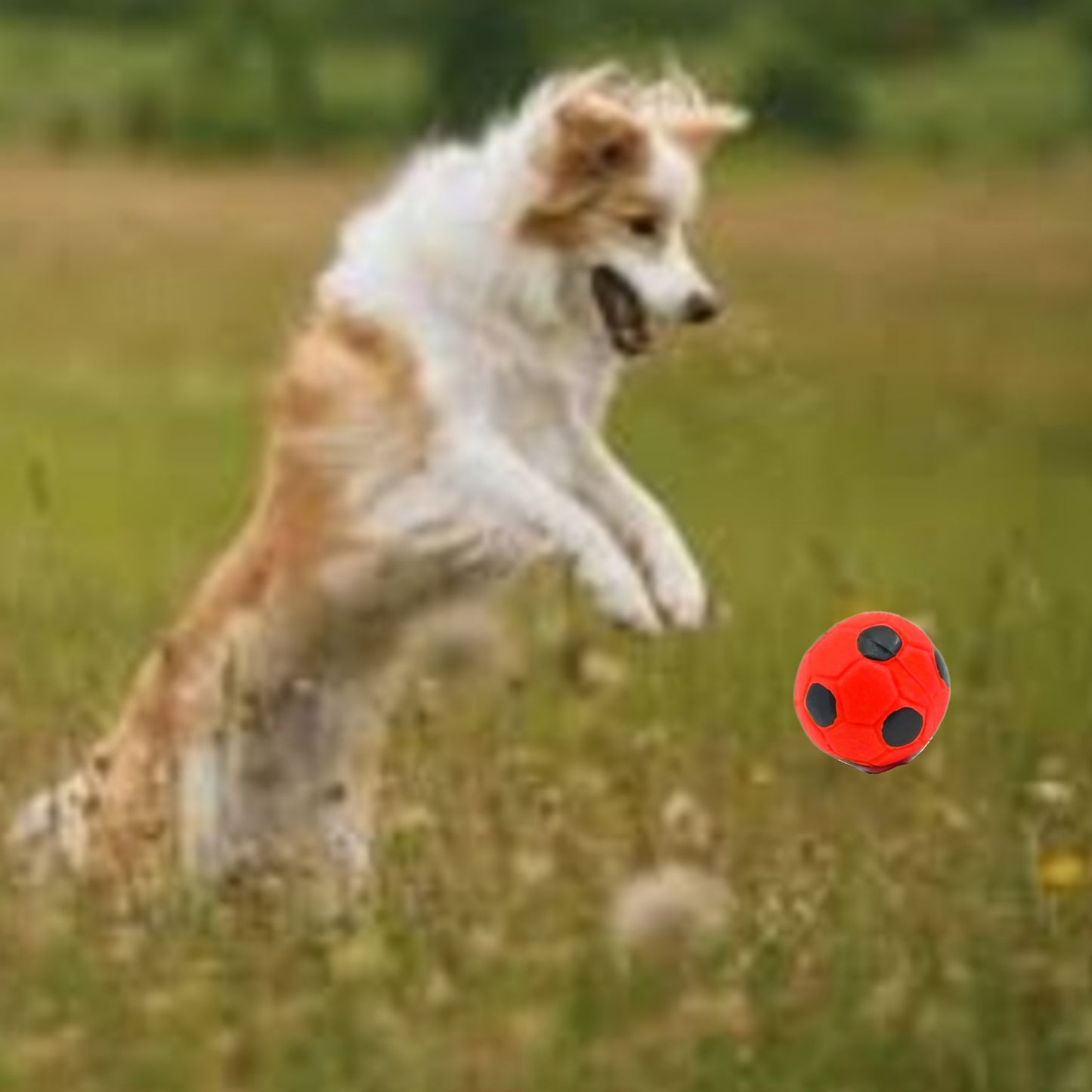 🔊 - Mini-Fussball aus Latex – Rot/Schwarz, Ø 5 cm ⚽