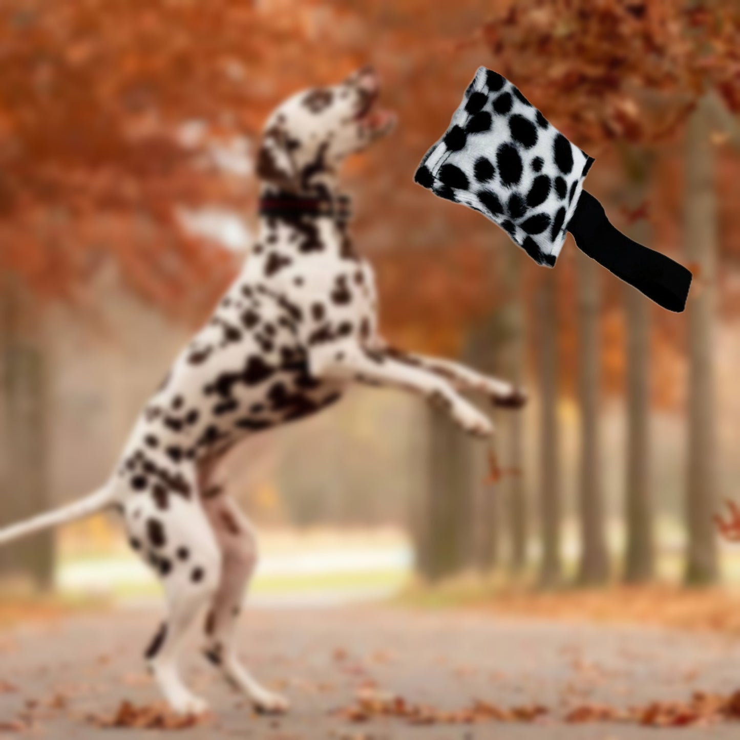 HUNDESPIELZEUG 🔇 - Mini Moo 🖤🤍