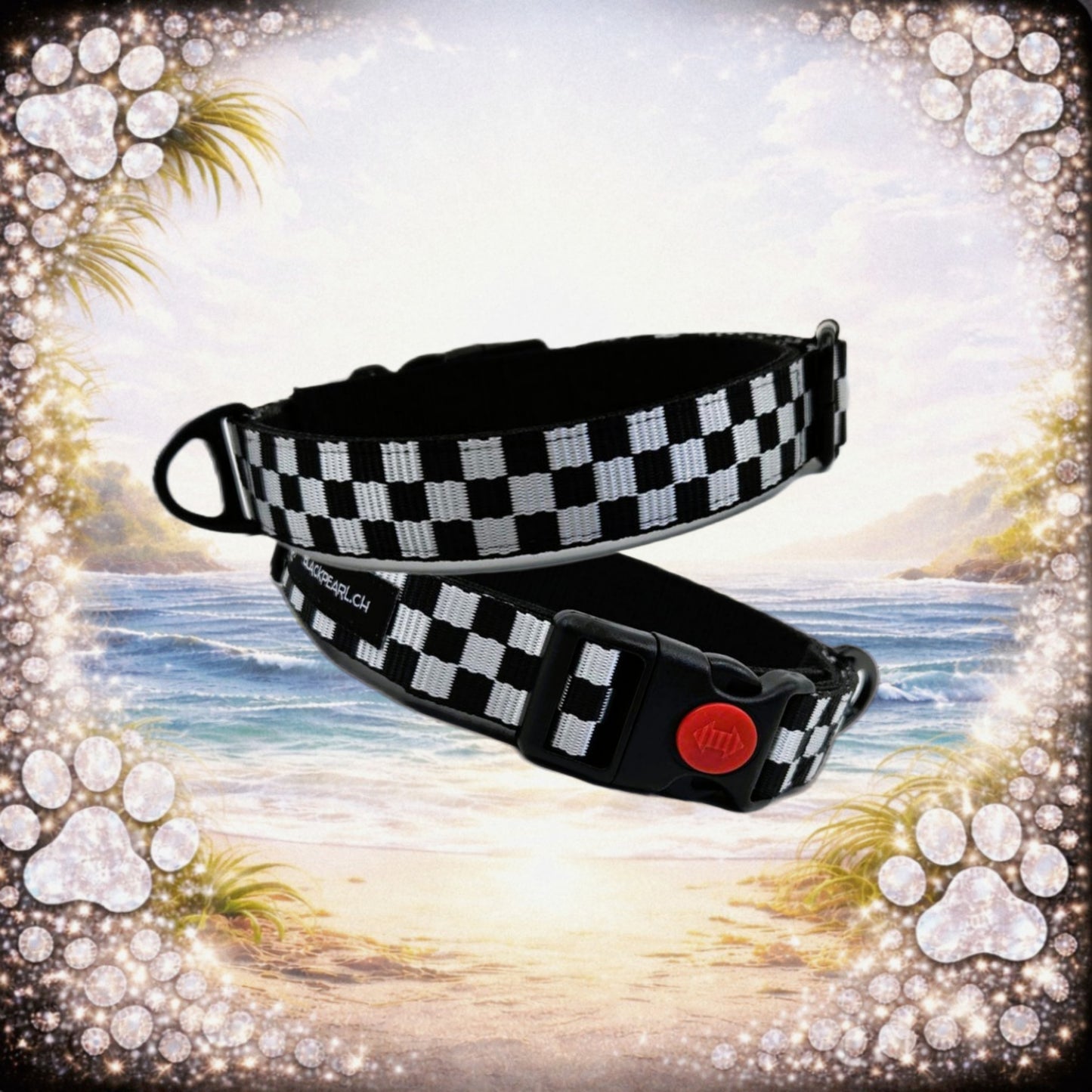 HALSBAND - RaceStyle 🏁