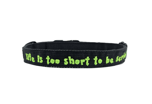 HALSBAND - Life is too short to be serious 💚 47-52  CM