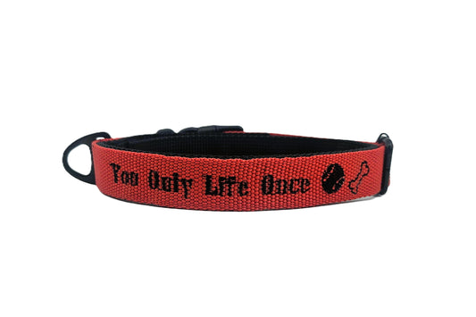 HALSBAND - YOU ONLY LIFE ONS❤️
