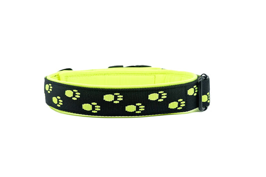 HALSBAND -  Neon Trail 💛