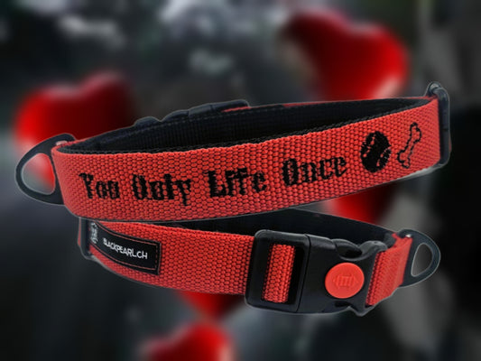 HALSBAND - YOU ONLY LIFE ONS❤️