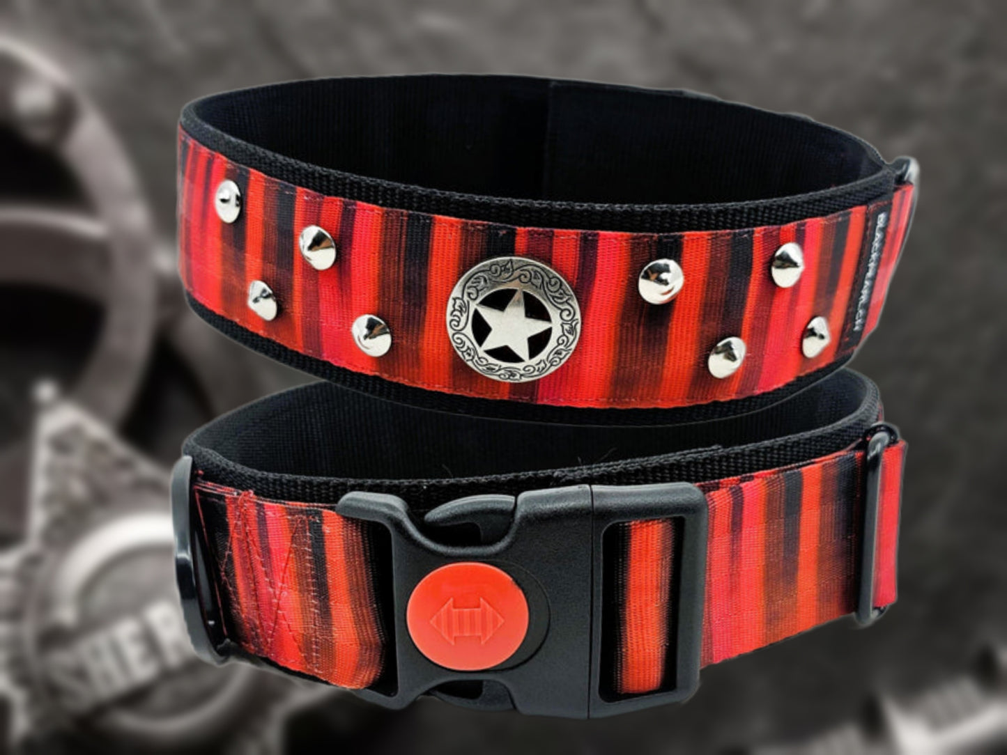 HALSBAND - SHERIFF CONCHO 🐾🦴