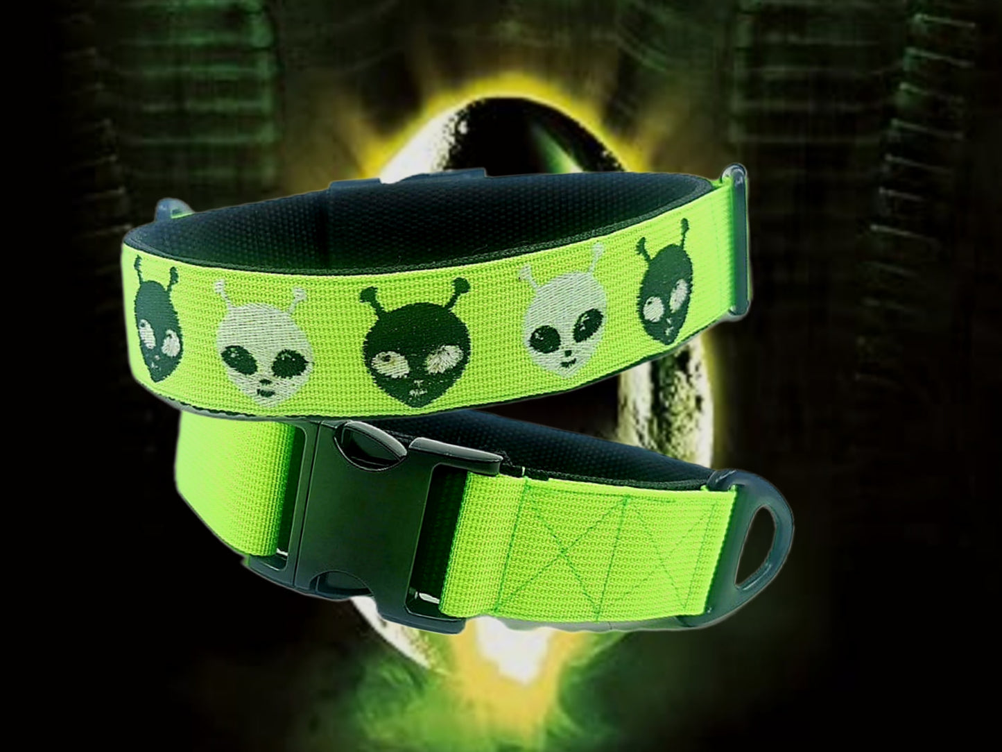 HALSBAND - ALIEN 👽 48–51 cm