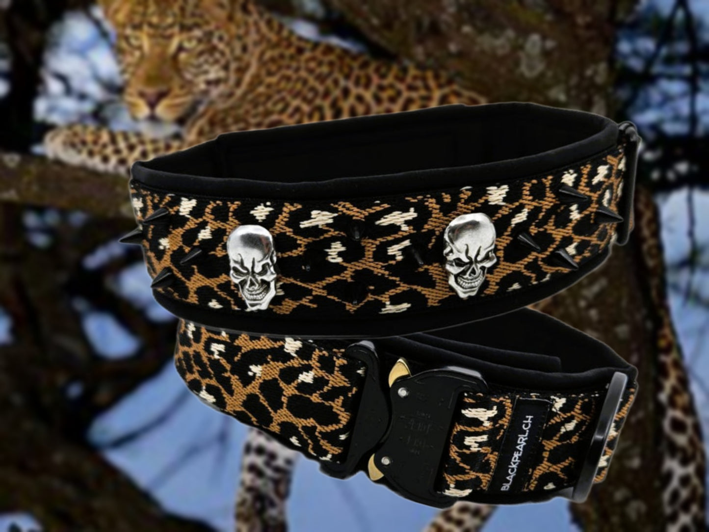 HALSBAND NACH WUNSCH MIT NIETEN/CONCHOS