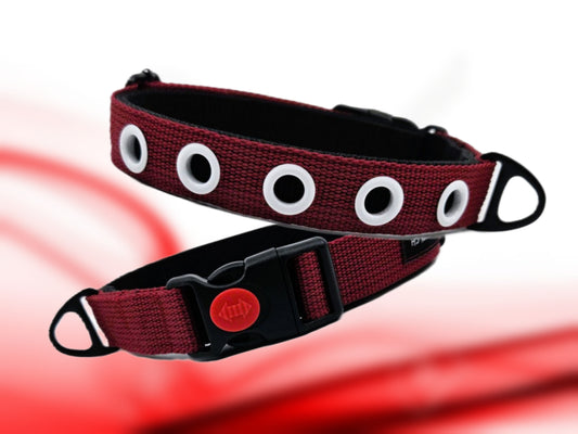 HALSBAND - Street Style 🔴 39–44 cm