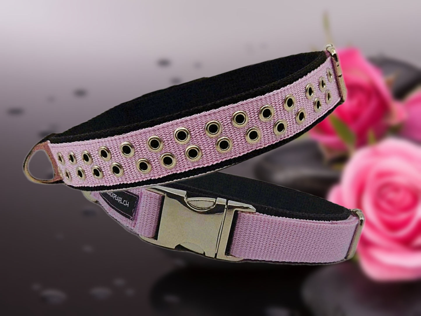 HALSBAND -  Punk Lady 💗🐾