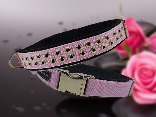 HALSBAND -  Punk Lady 💗🐾