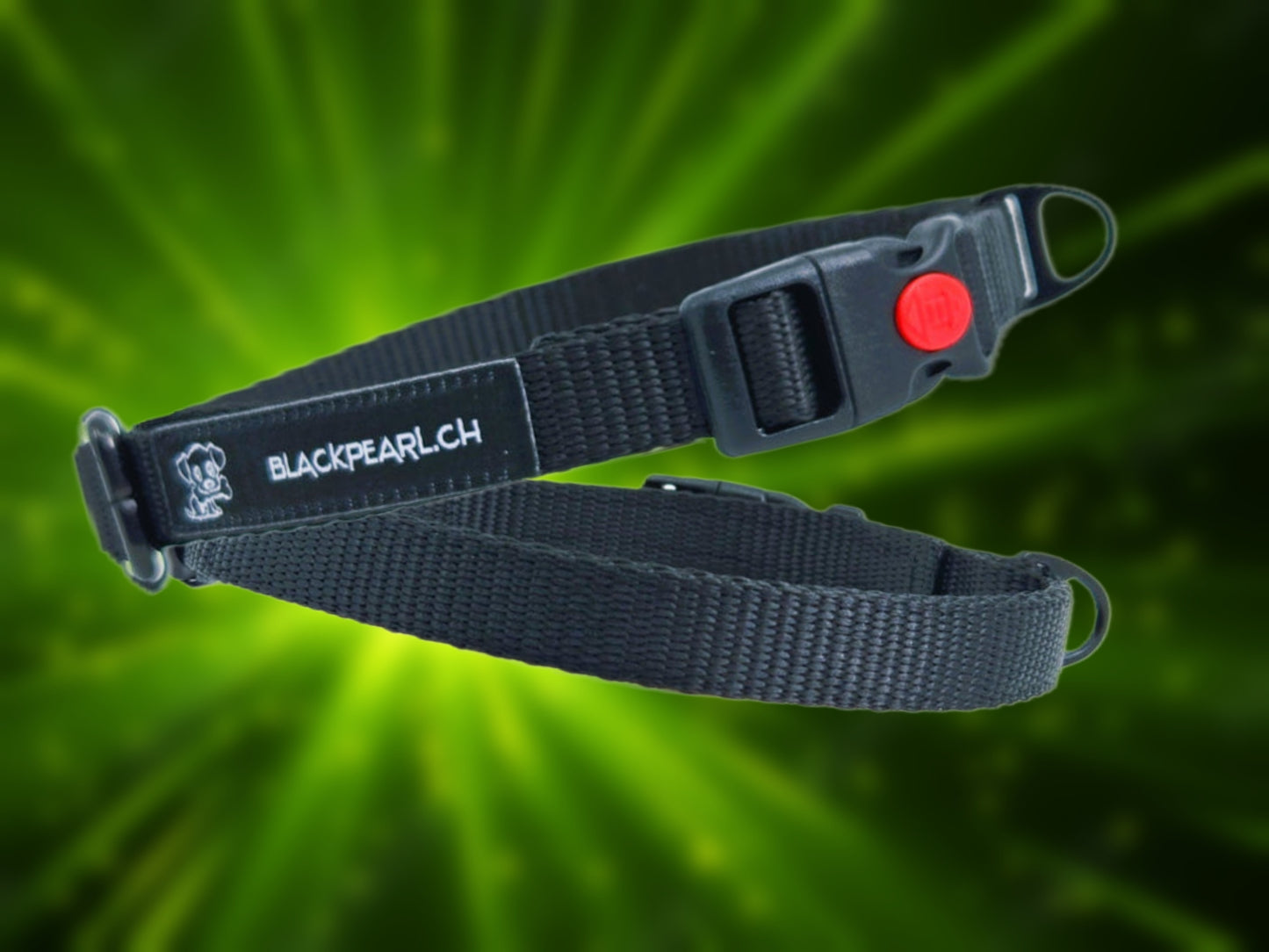 HALSBAND - SafeBasic 🖤✨