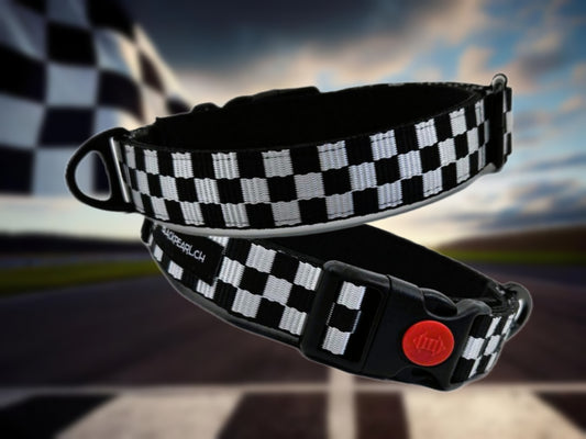 HALSBAND - RaceStyle 🏁