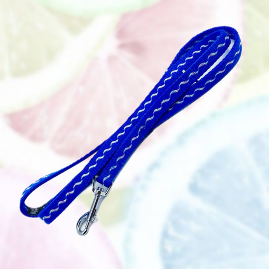 LEINE - Wave Leash 🌊