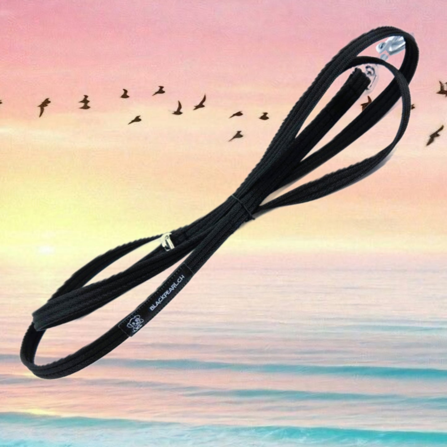 LEINE NACH WUNSCH VERSTELLBAR 🔧🎨