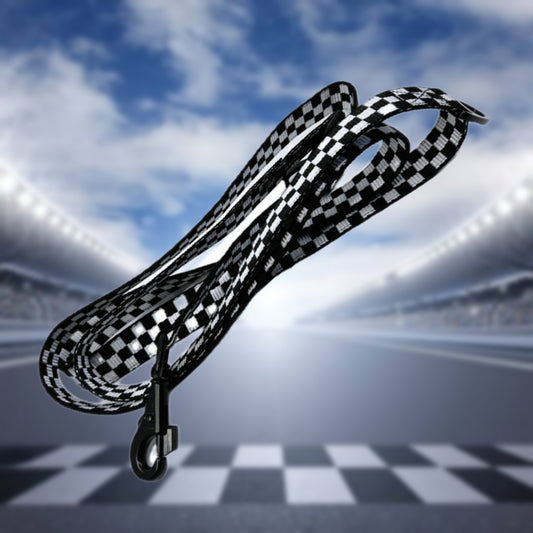 LEINE - RaceLine🐾