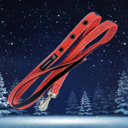 LEINE - Ruby Trail 💎🐾