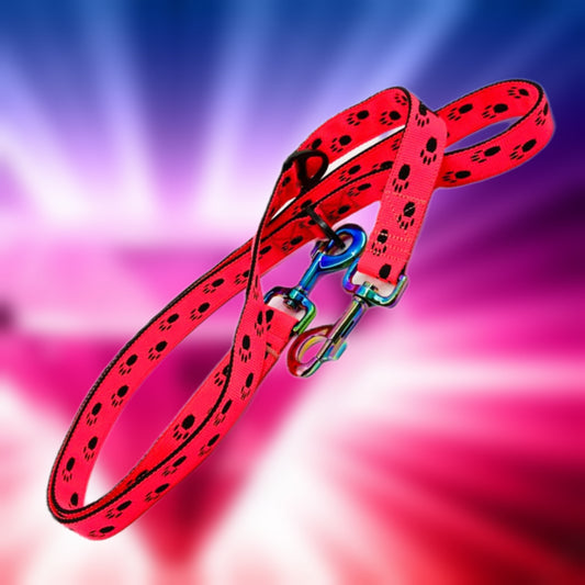 LEINE - Pawtastic 💗🐾