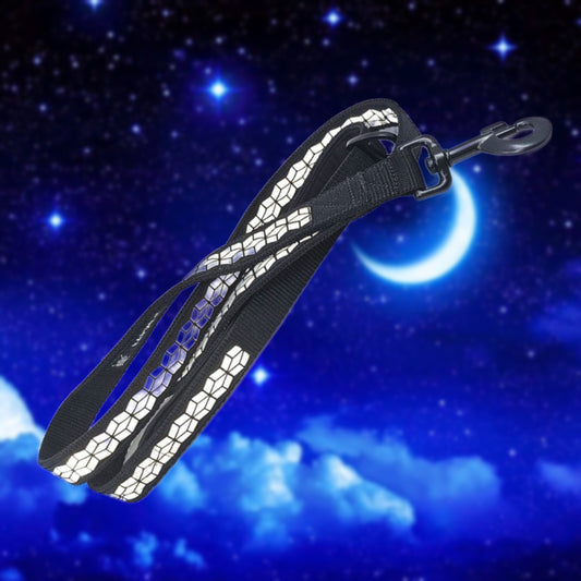 LEINE - Midnight Paw 🌙🐾