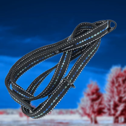 LEINE - Midnight Glow 🌌🐾