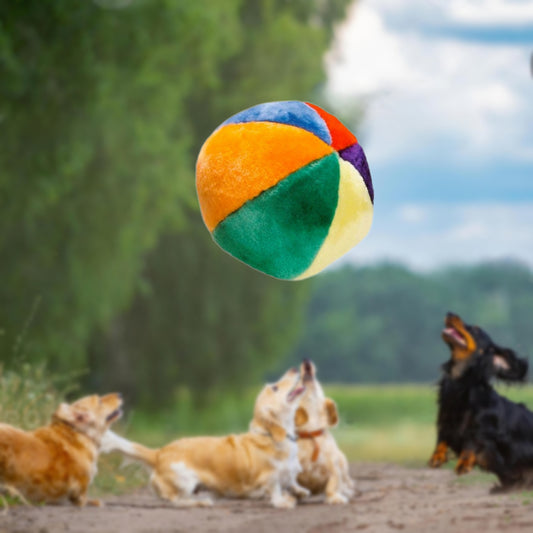 HUNDESPIELZEUG 🔊 - Ball aus Plüsch Ø 16 cm