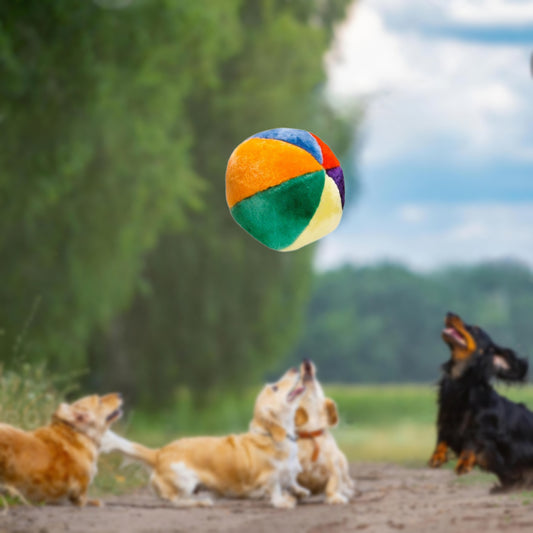 HUNDESPIELZEUG 🔊 - Ball aus Plüsch Ø 12 cm