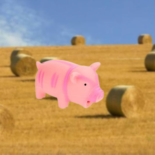 HUNDESPIELZEUG 🔊 -  Latex-Schwein Pumba 🐷