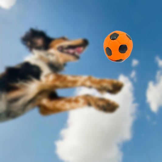 HUNDESPIELZEUG 🔊 - Mini-Fussball aus Latex – orange/Schwarz, Ø 5 cm ⚽