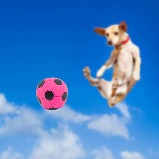 HUNDESPIELZEUG 🔊 - Mini-Fussball aus Latex – pink/Schwarz, Ø 5 cm ⚽