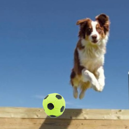 HUNDESPIELZEUG 🔊 - Mini-Fussball aus Latex – grün/Schwarz, Ø 5 cm ⚽