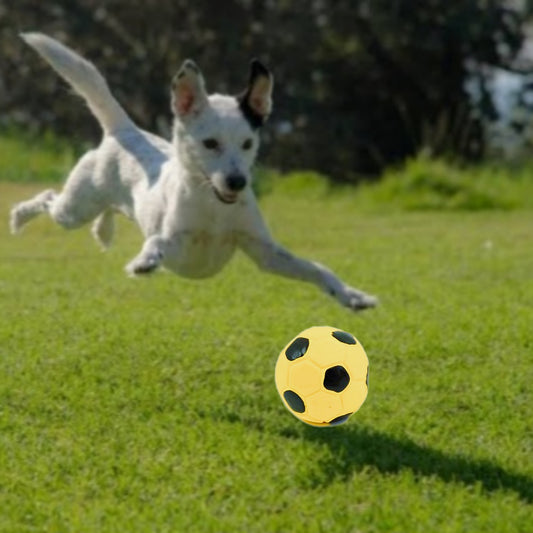 HUNDESPIELZEUG 🔊 - Mini-Fussball aus Latex – gelb/Schwarz, Ø 5 cm ⚽