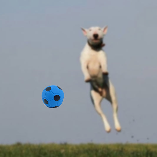 HUNDESPIELZEUG 🔊 - Mini-Fussball aus Latex – blau/Schwarz, Ø 5 cm ⚽