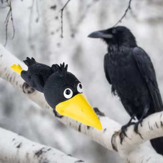 HUNDESPIELZEUG 🔊 - „Krähe“  Ø 6 cm 🐦