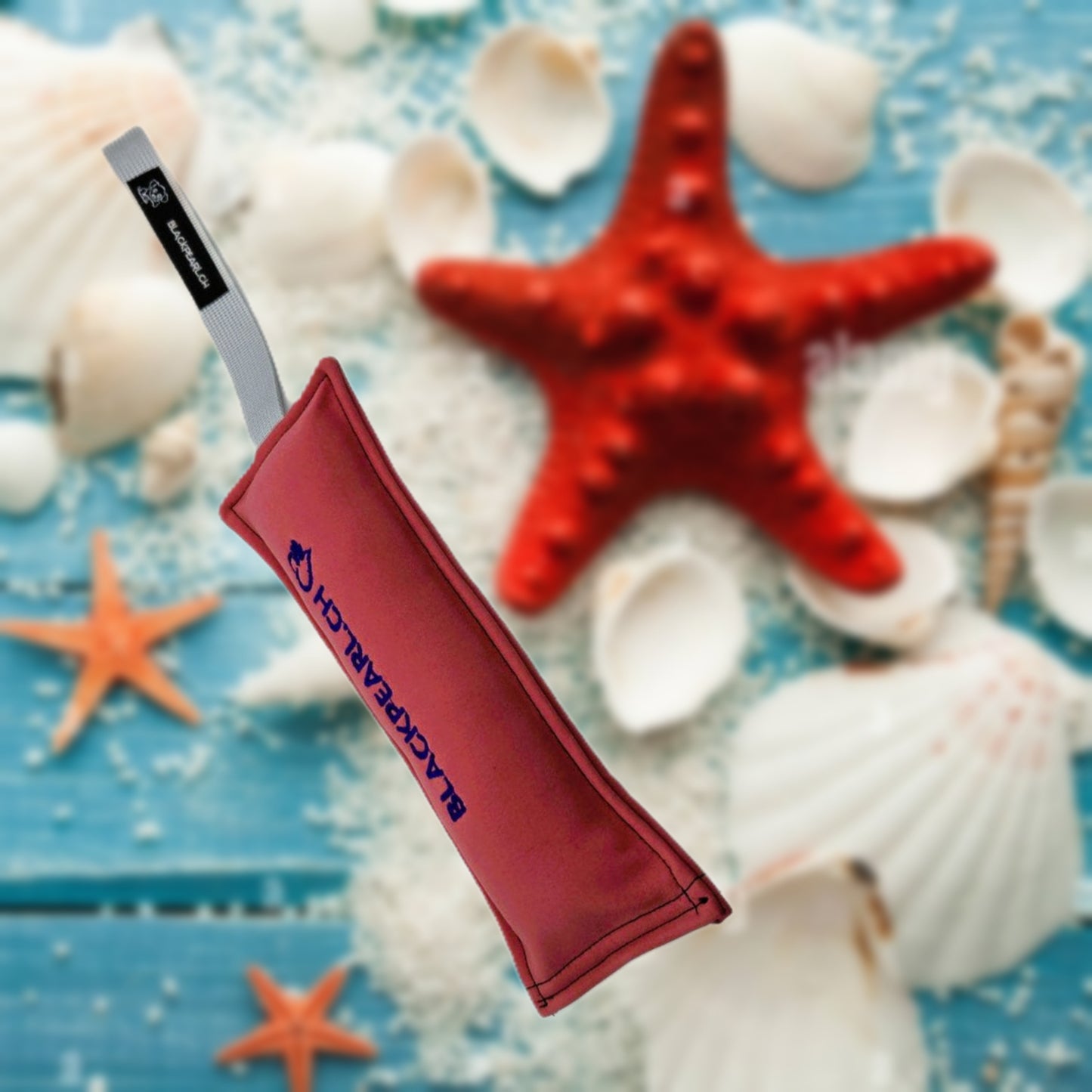 HUNDESPIELZEUG 🔇 -  Dummi