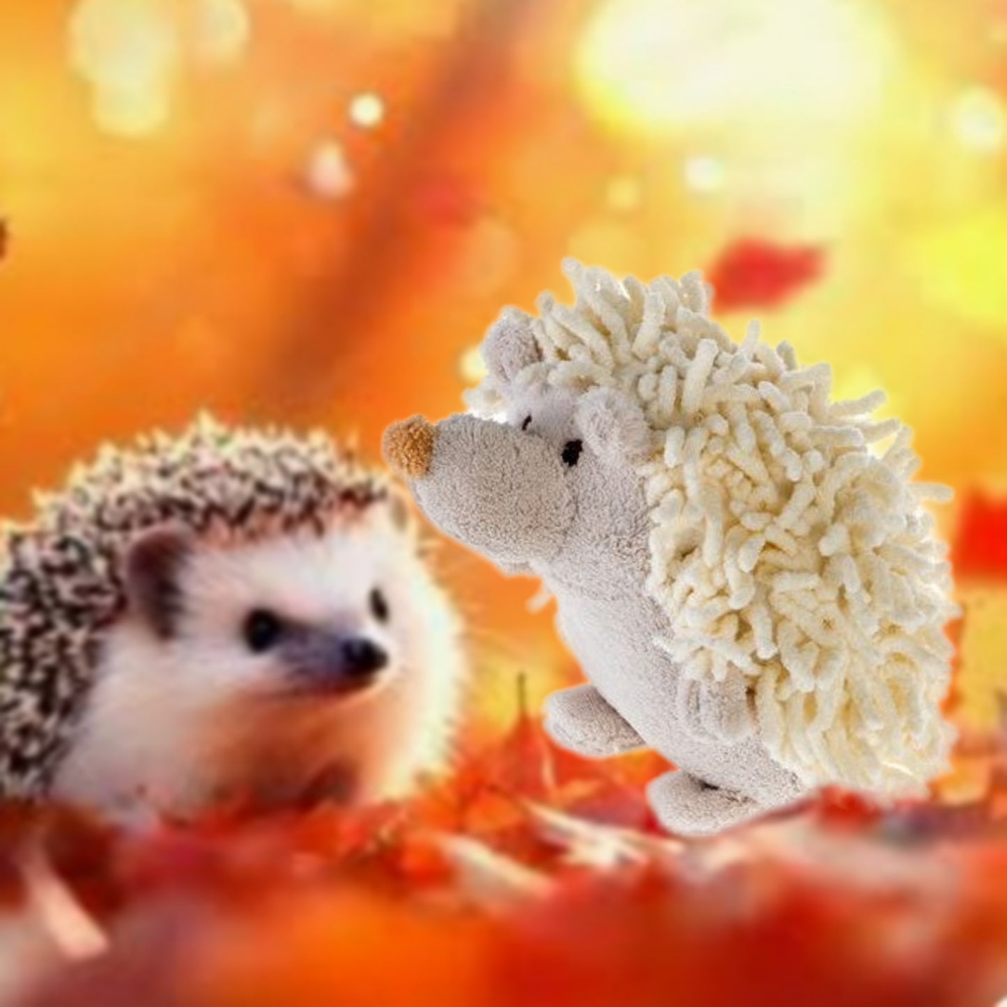 🔊 - 🐾 Flauschiger Igel Fips  🦔💖