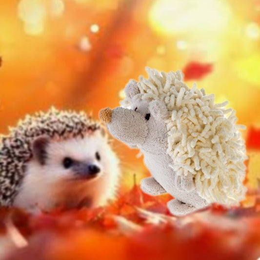 HUNDESPIELZEUG 🔊 - 🐾 Flauschiger Igel Fips  🦔💖