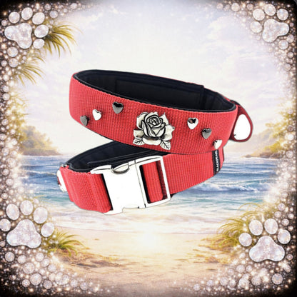 HALSBAND NACH WUNSCH MIT NIETEN/CONCHOS