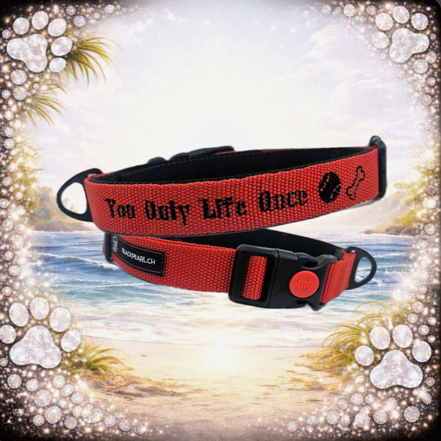 HALSBAND - YOU ONLY LIFE ONS❤️