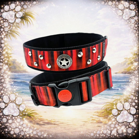 HALSBAND - SHERIFF CONCHO 🐾🦴