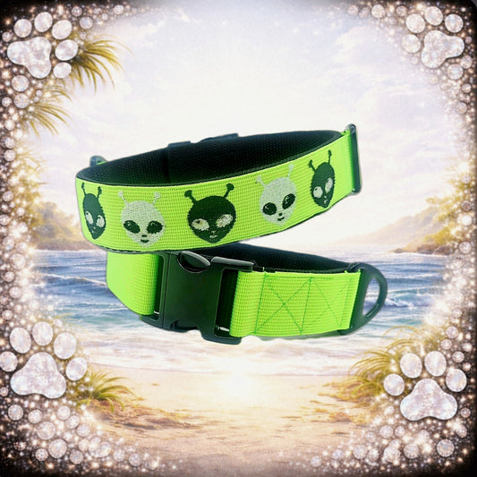 HALSBAND - ALIEN 👽 48–51 cm