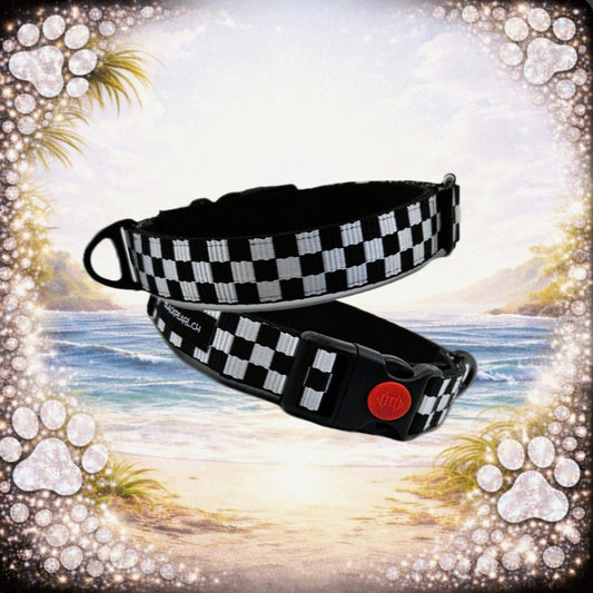 HALSBAND - RaceStyle 🏁