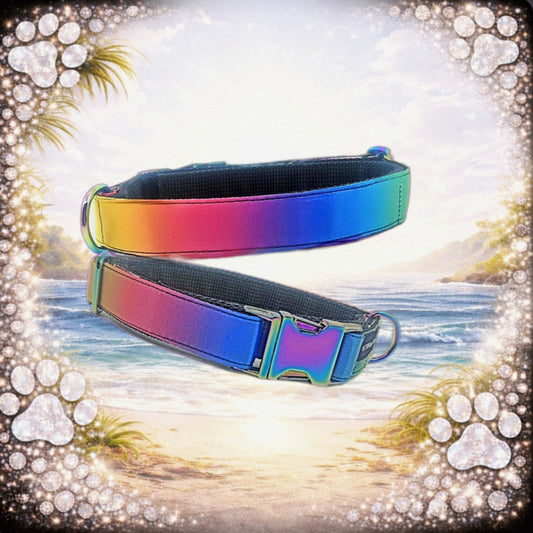 HALSBAND - RAINBOW 🌈 38–43 cm