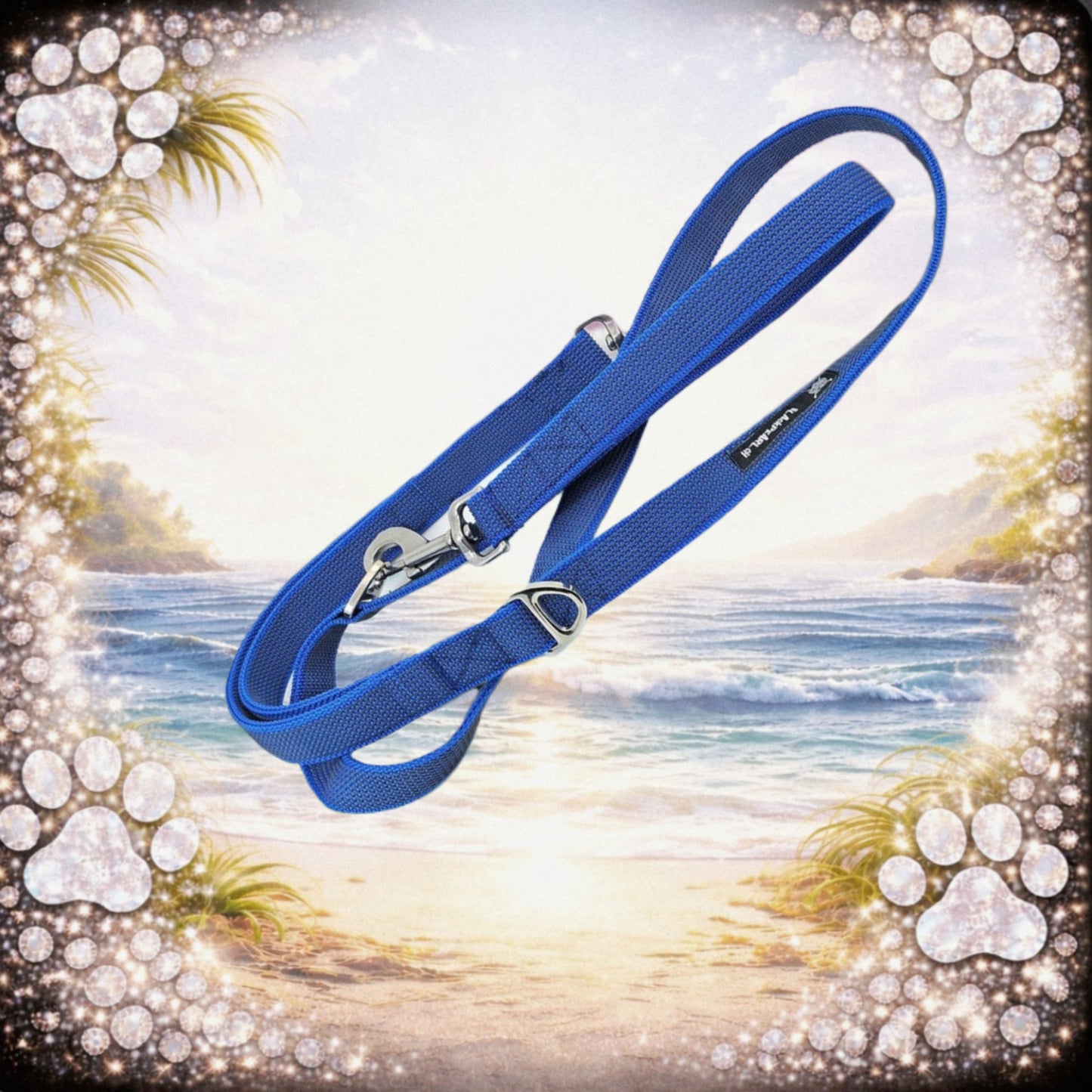 LEINE - Blue Grip Master 🖐️🧲