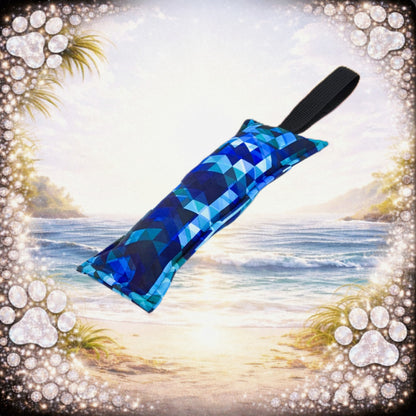 Daily Dummy 🔇 - Blue Blaze  💙🌊