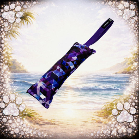 Daily Dummy🔇 - Purple Prism Tug ✨🔮
