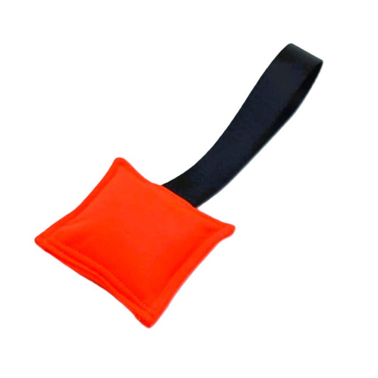 HUNDESPIELZEUG 🔇 -  Neon blace 🧡